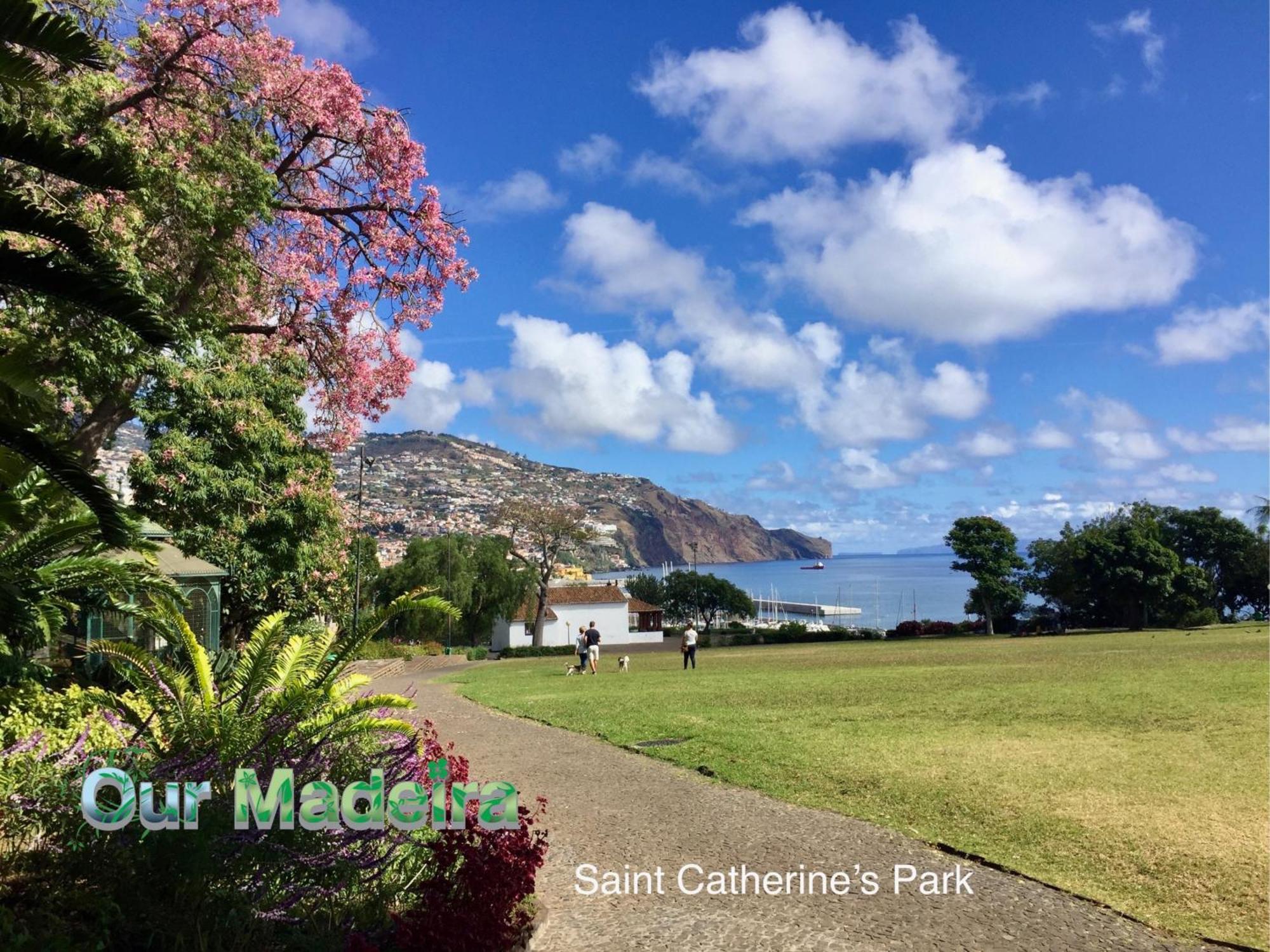 Apartament Ourmadeira - Heart Of Old Town I Funchal  Zewnętrze zdjęcie