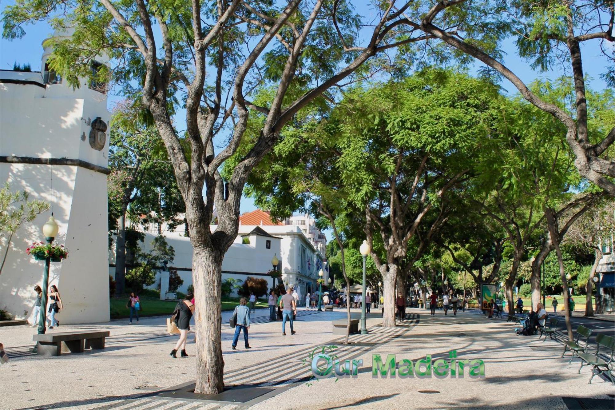 Apartament Ourmadeira - Heart Of Old Town I Funchal  Zewnętrze zdjęcie