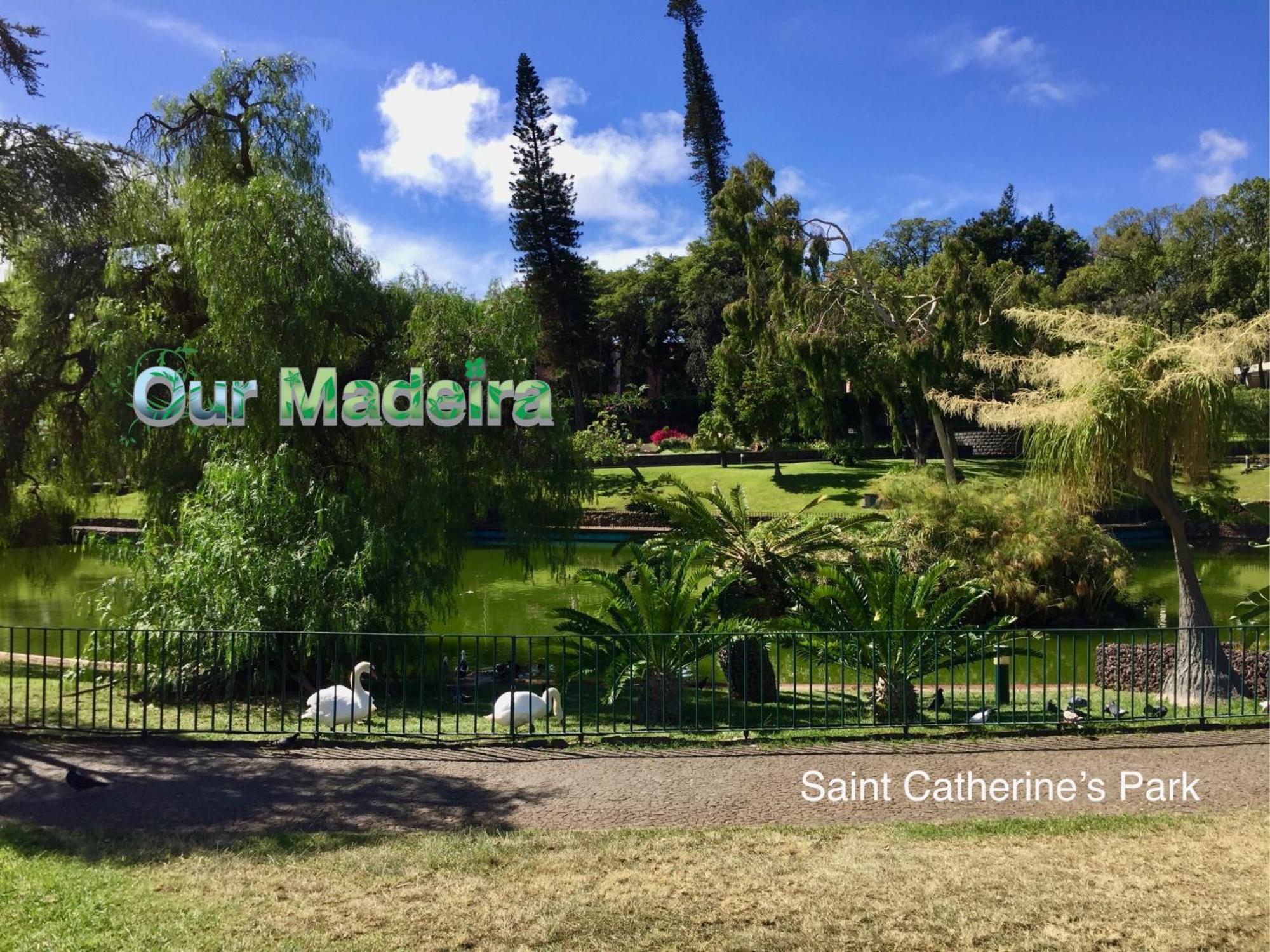 Apartament Ourmadeira - Heart Of Old Town I Funchal  Zewnętrze zdjęcie